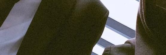 ʕ •ᴥ•ʔゝ☆ banner