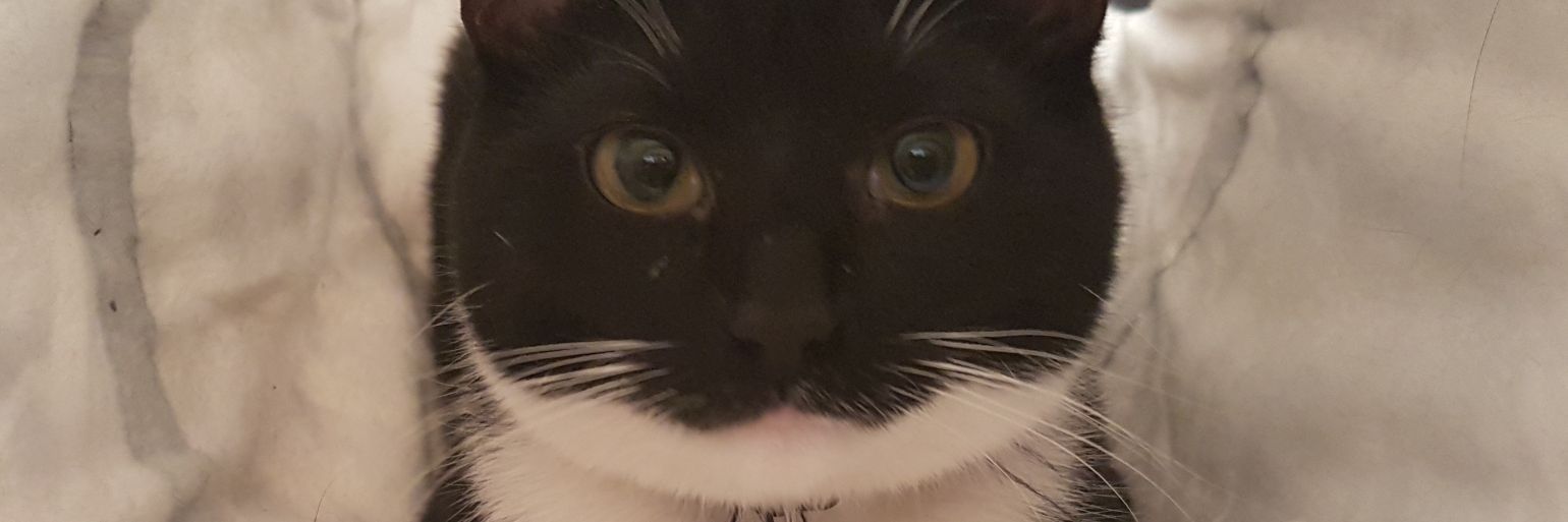 Pwlskldnk's profile banner image