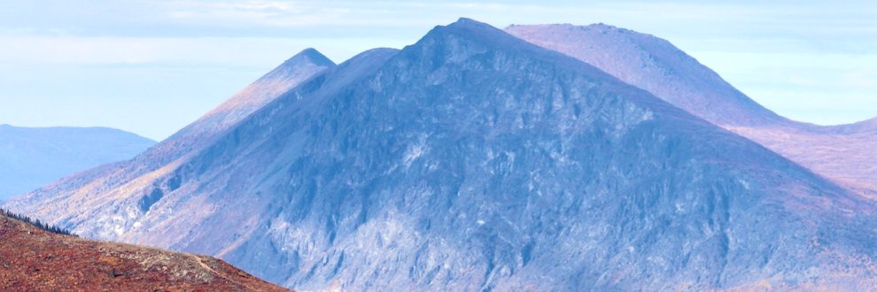 donnamillerfry.com on Bluesky banner