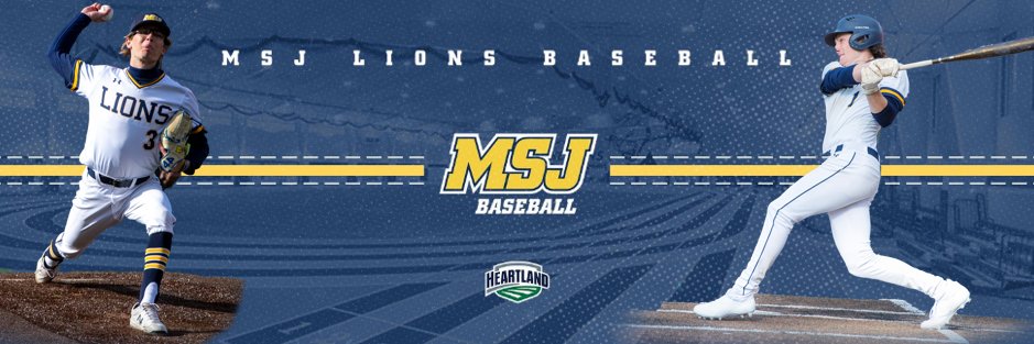 MSJ Baseball banner