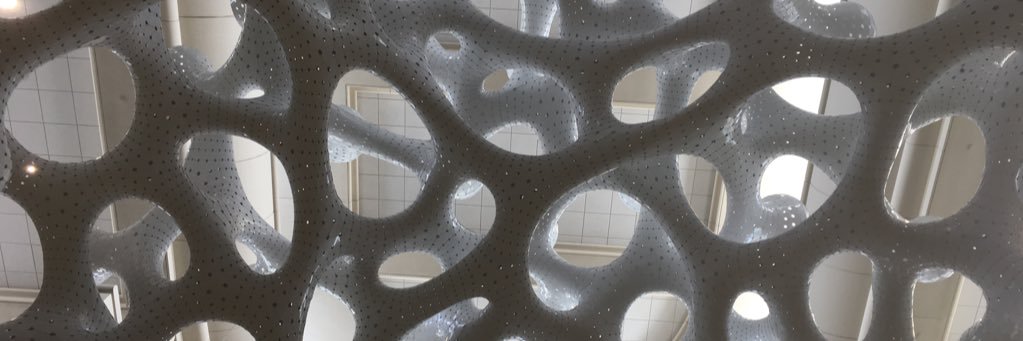 Carmel Schettino banner