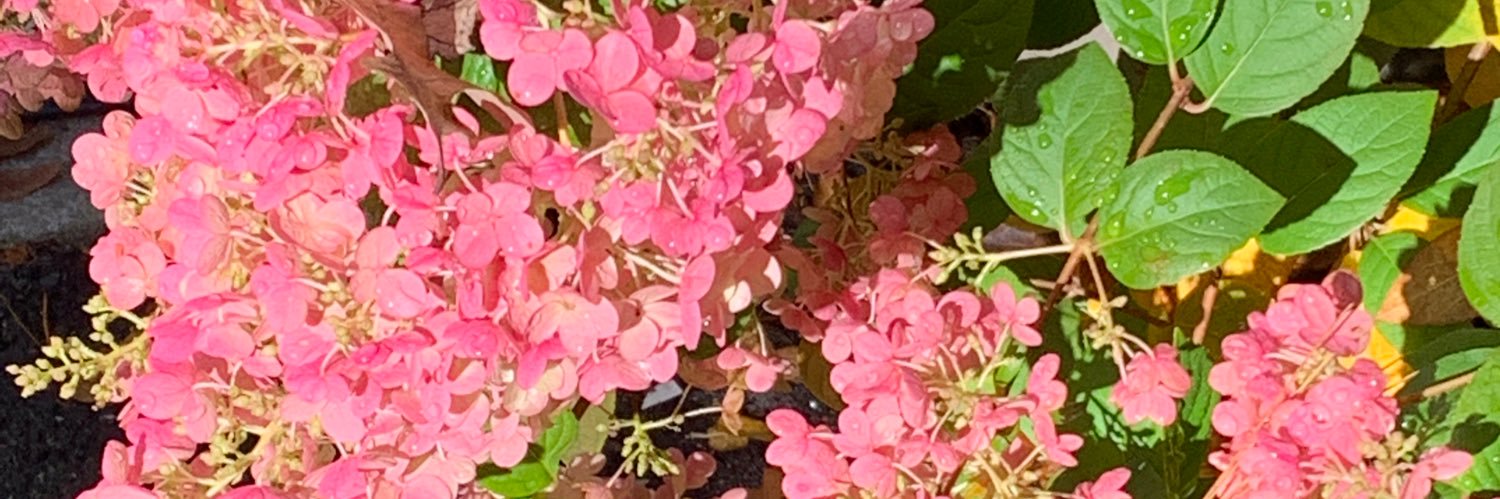 williampw2455's profile banner image