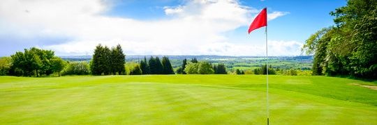 Viv banner