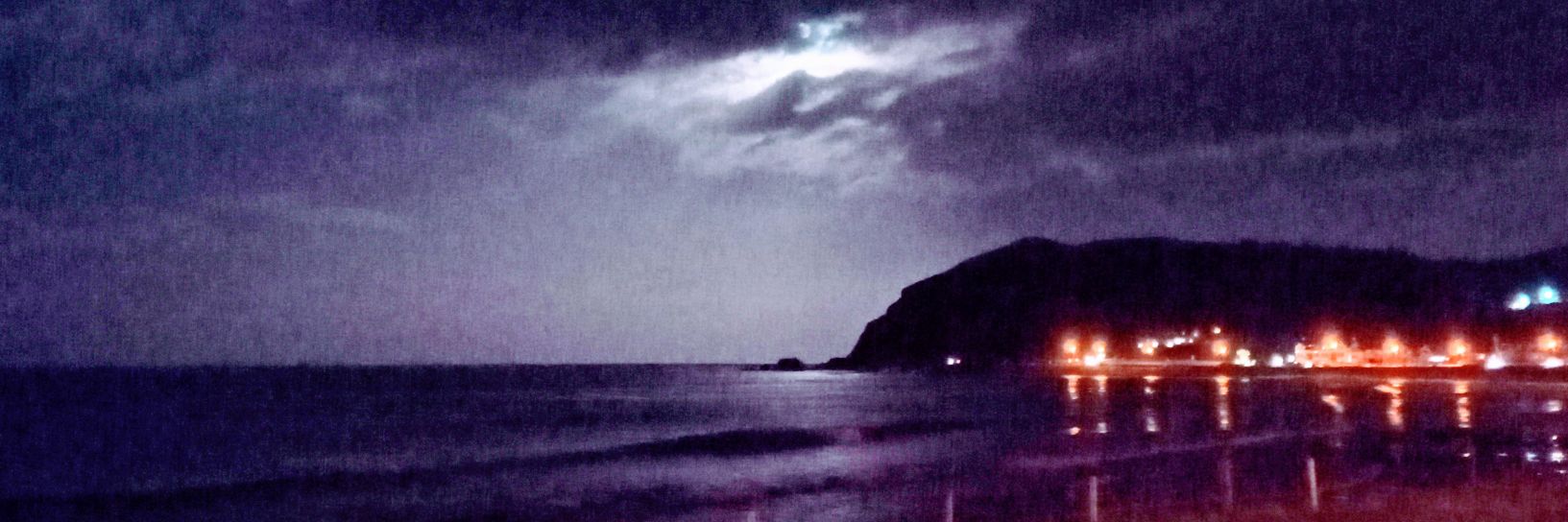 Down with Brexit, Trump and Nazis. banner