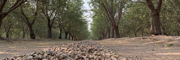 UCCE_DougAmaral Profile Banner