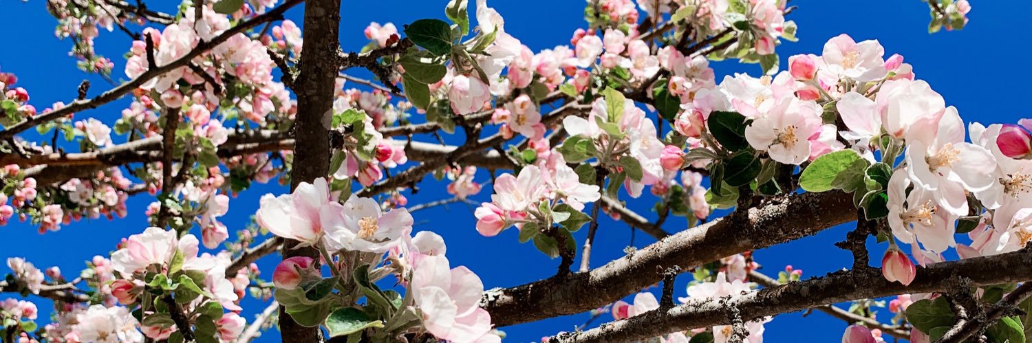 Jacob Otterström banner