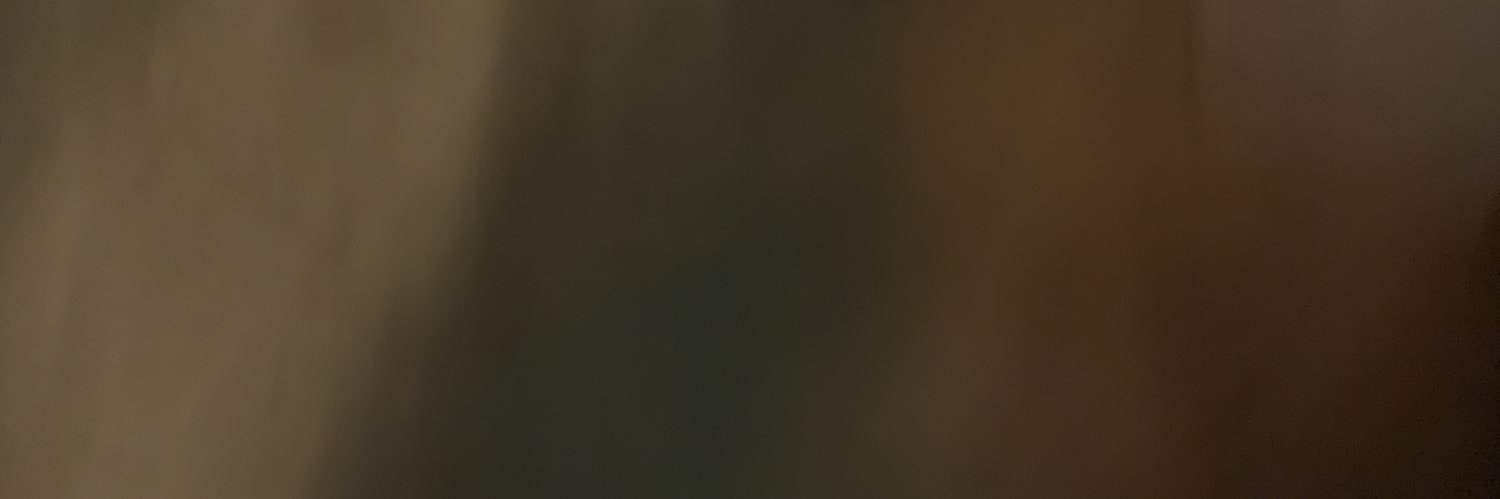 FPicquot's profile banner image