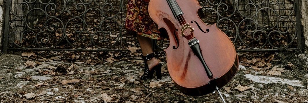 Violetachelista's profile banner image