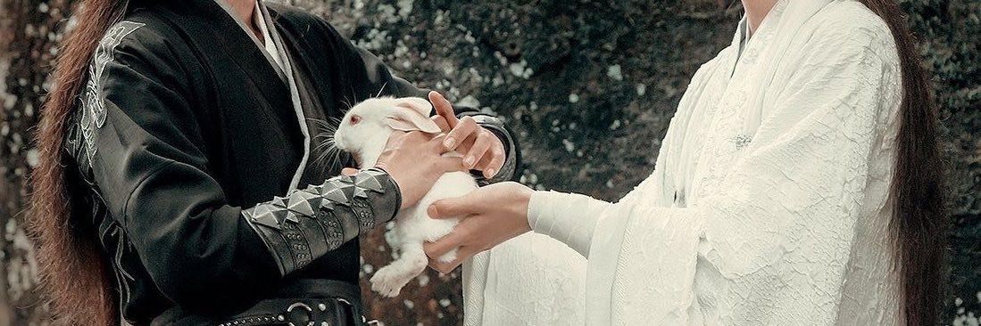 negativepoli's profile banner image