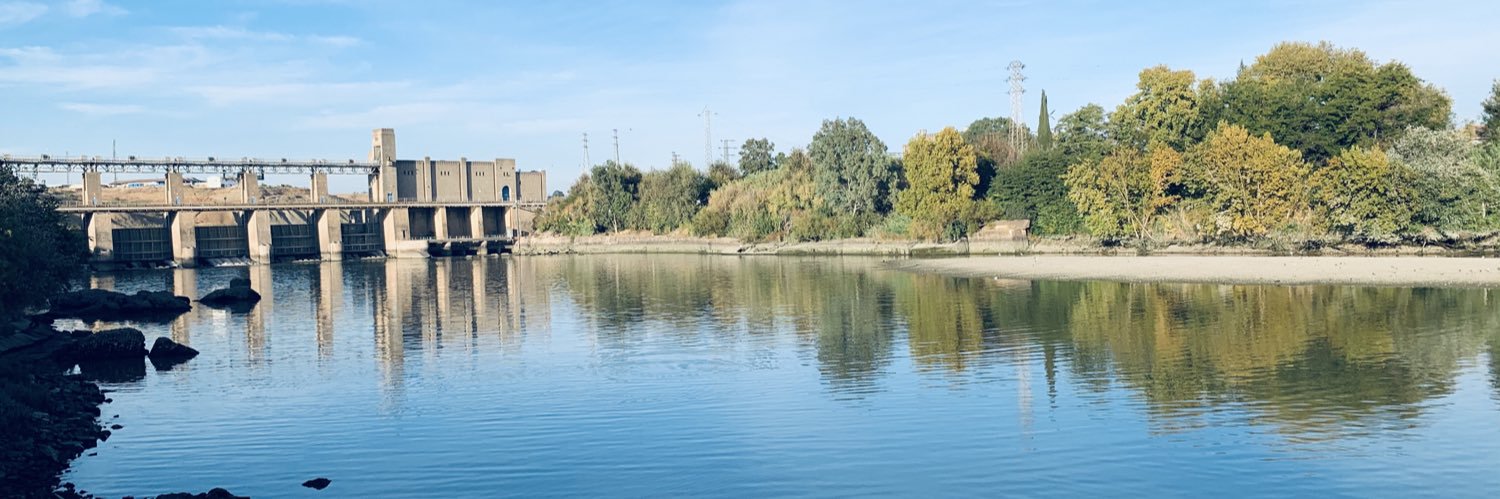 Esperanza Domínguez. 💜🍀 banner