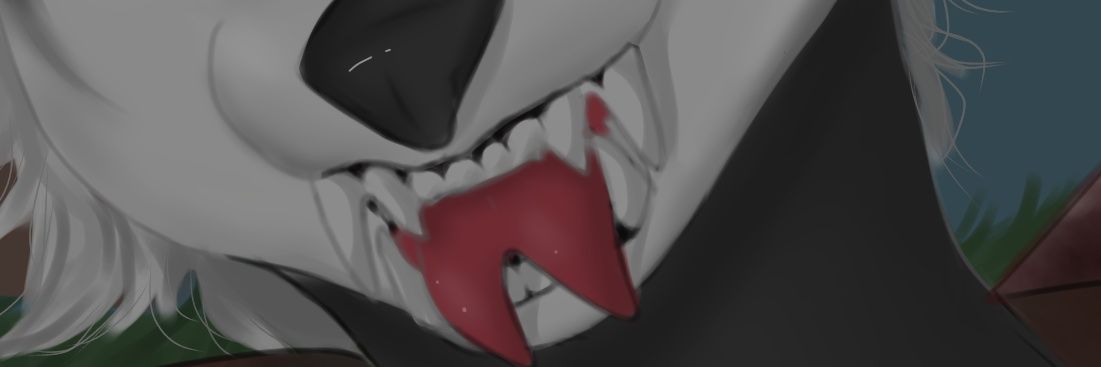 N4rdyZ's profile banner image