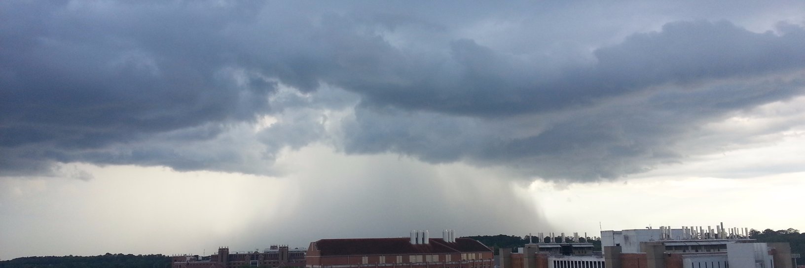 Shane N. Pendleton banner