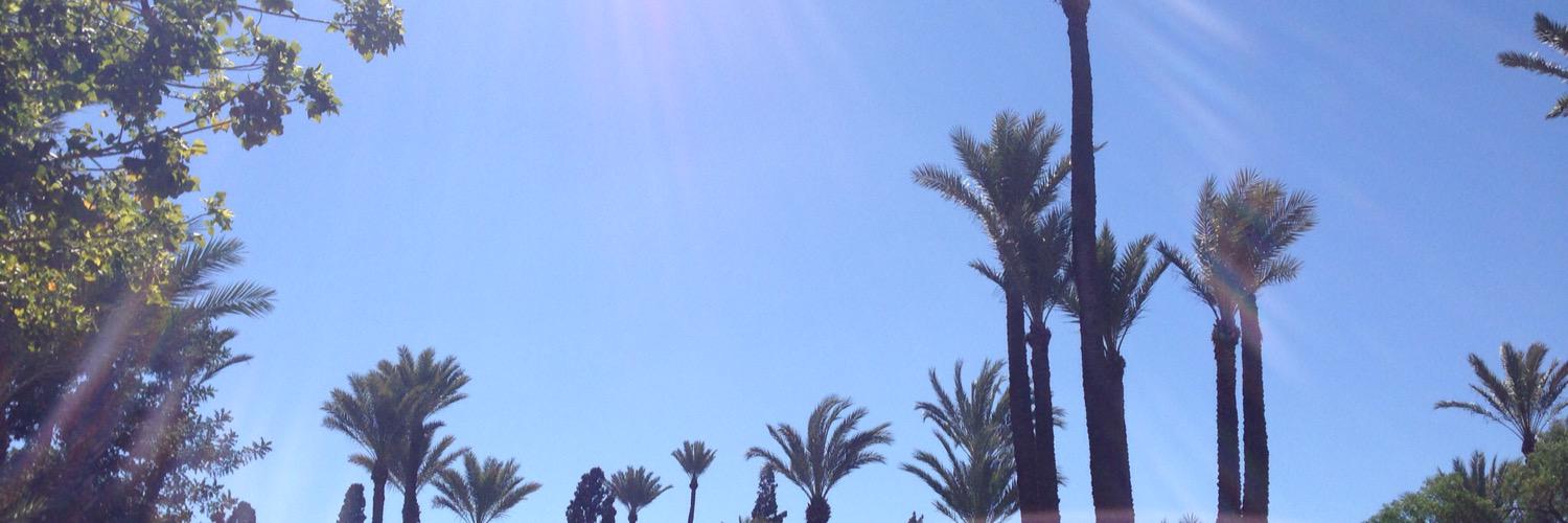 Robinmaneschijn's profile banner image