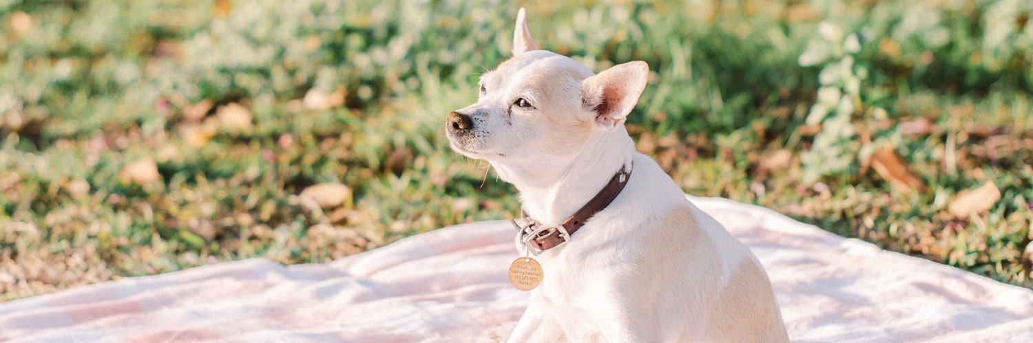 🖤💖Bre Sarpy💖🖤 banner