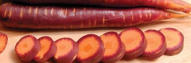 Carrots of many Colours's banner