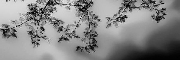 spenzy1x Profile Banner