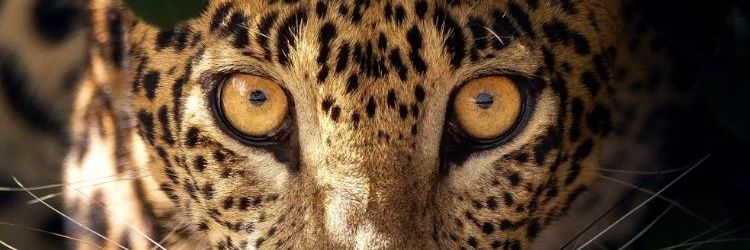 1prince_d's profile banner image