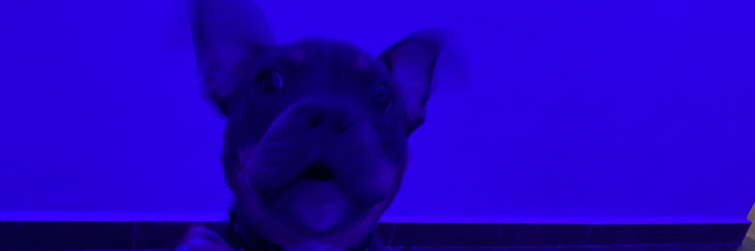 majomtr's profile banner image
