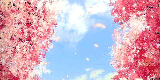 hinomiyas's profile banner image