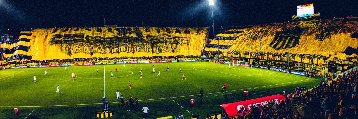 rodri banner