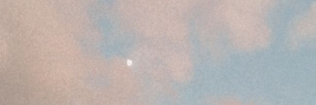 Selina banner