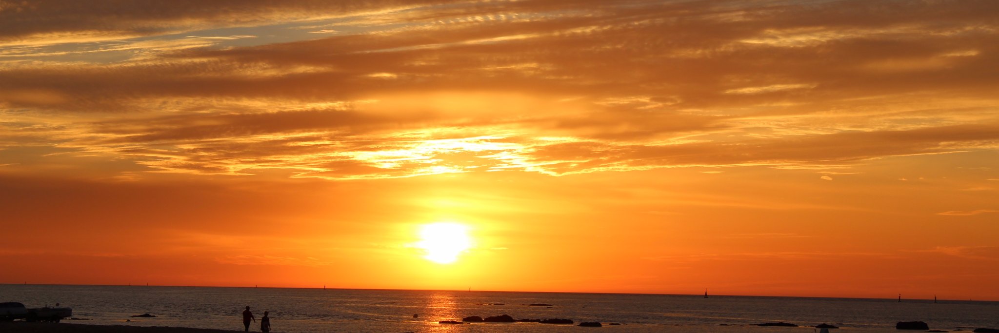 pacordero's profile banner image