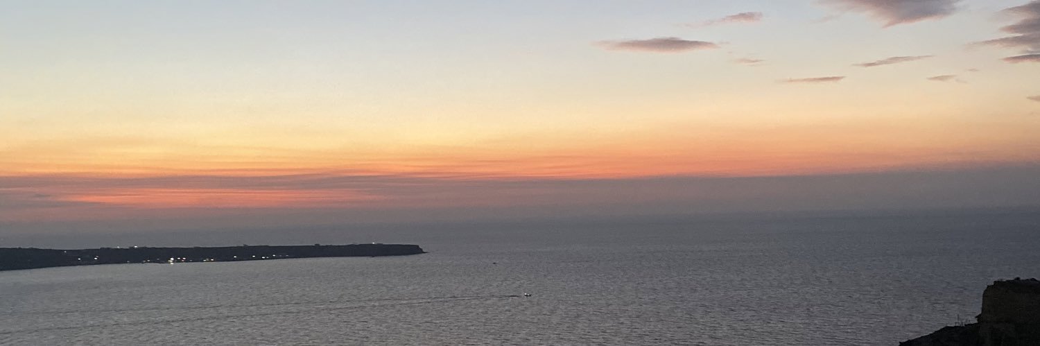 a ♛ banner