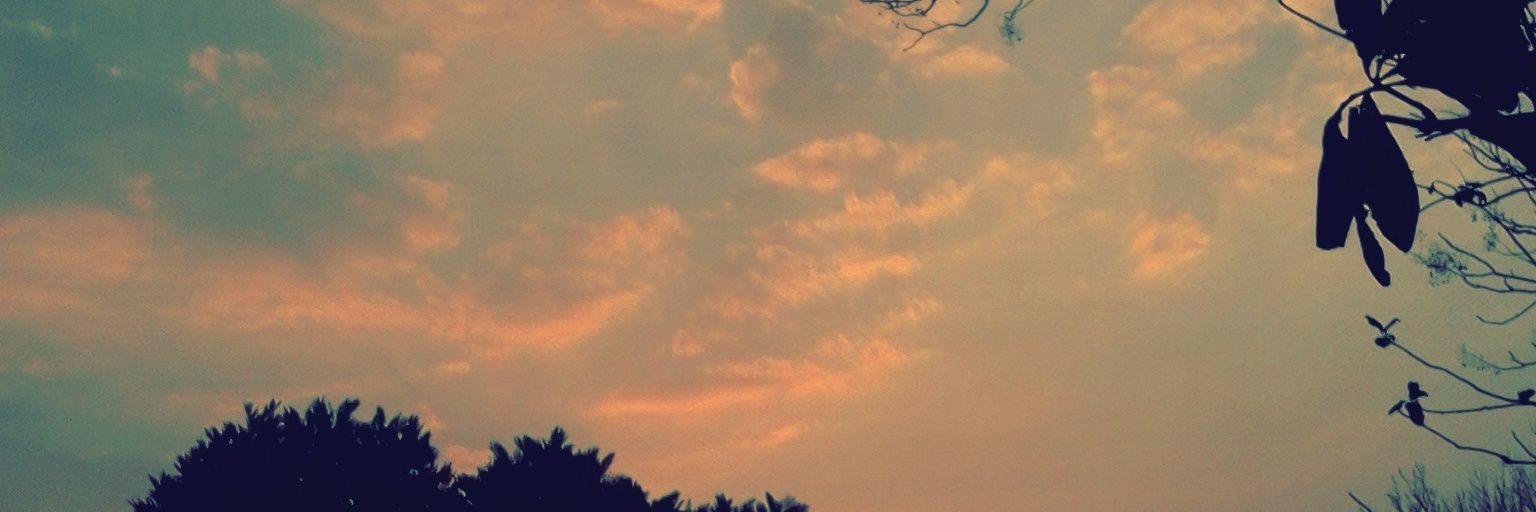 elisabetputri's profile banner image