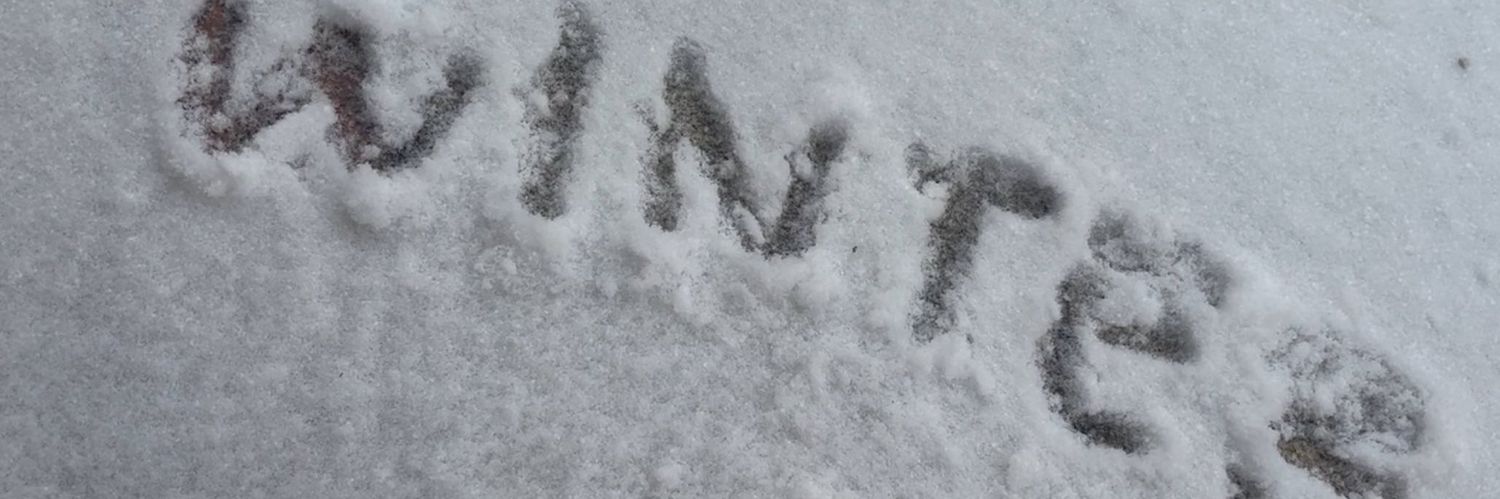 winter pics banner