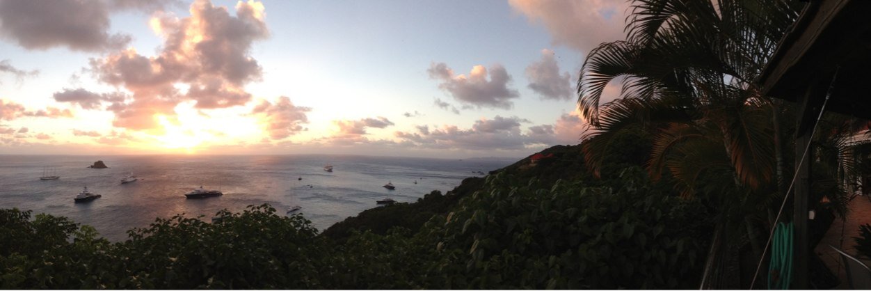 Clare Fitzgerald banner