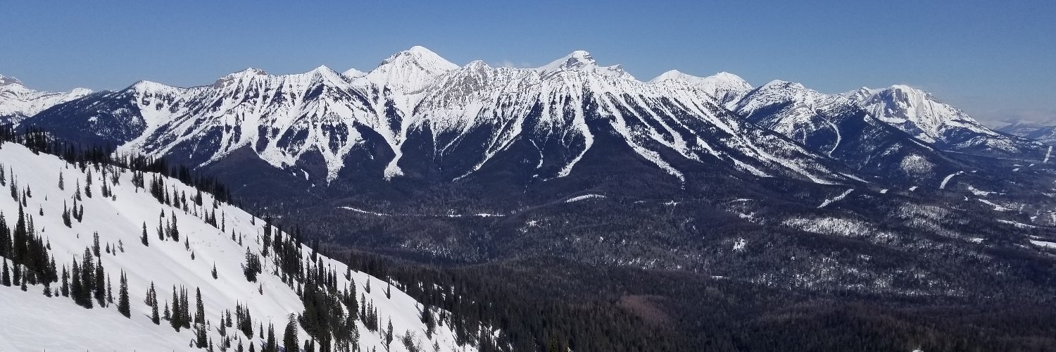 AlbertaAlex banner