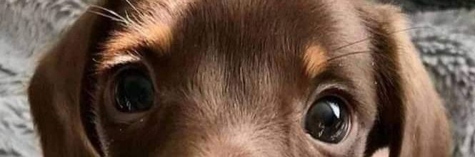 juliomc301's profile banner image