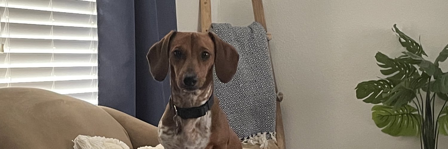 JadynLuna's profile banner image
