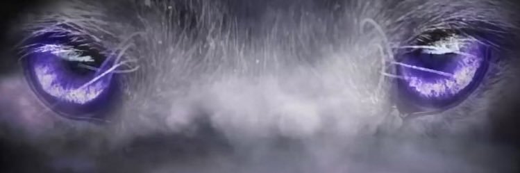 Kayden Greene banner