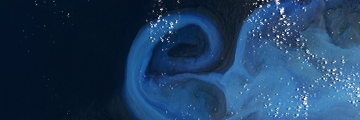 Ally Nussbaum banner