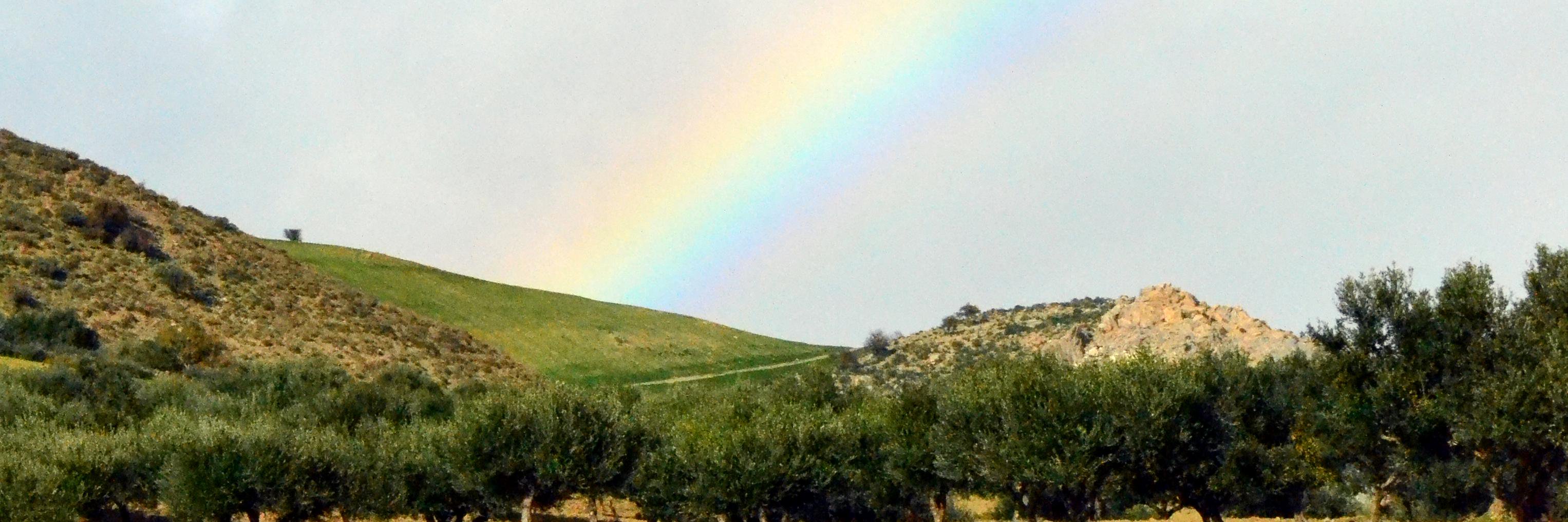 yannis daliakopoulos banner