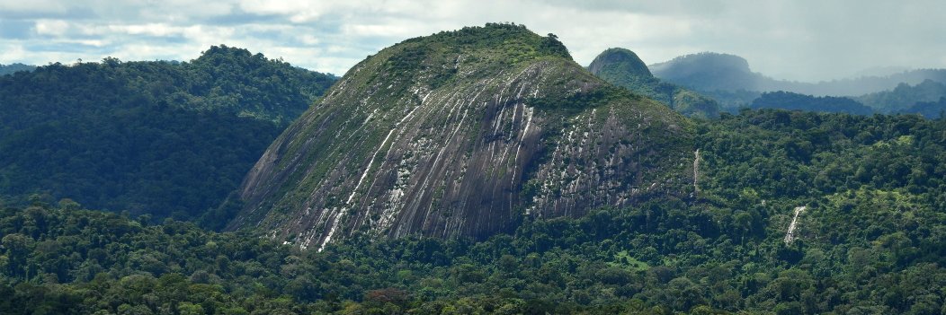 Decaëns Thibaud banner