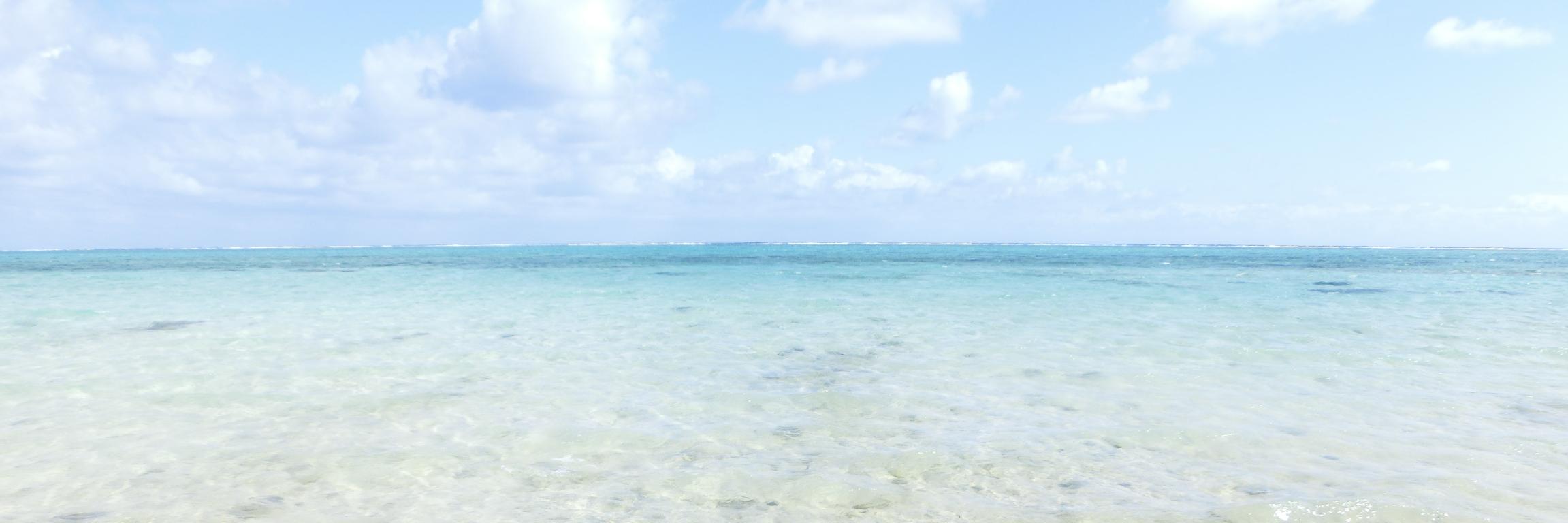 masutonio's profile banner image
