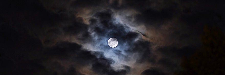 Shae_AlSayegh's profile banner image