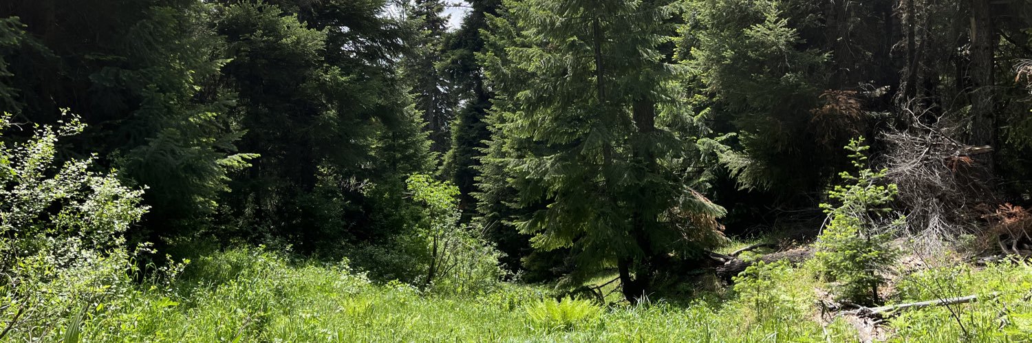 chlomaybe's profile banner image