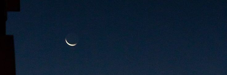 day banner