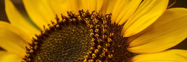 gain4crops Profile Banner