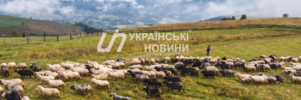 Українські Новини banner