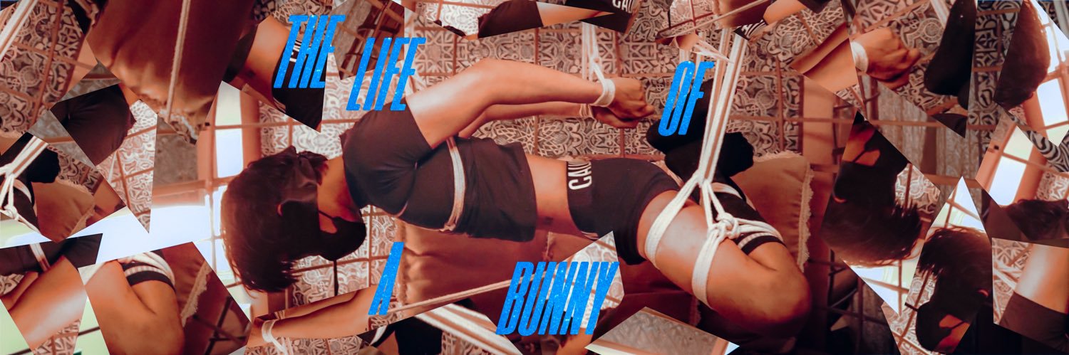 Bunny Jake 🐰 banner