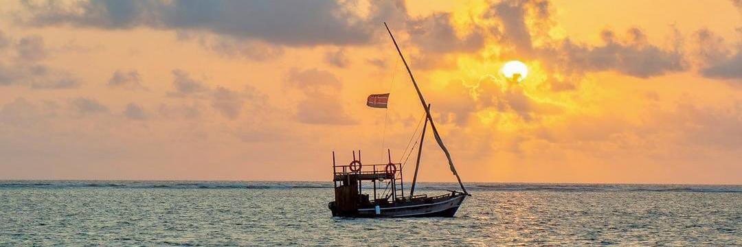 Nicholas ☯︎𓃠🇰🇪 banner