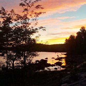 Chris Wormald banner