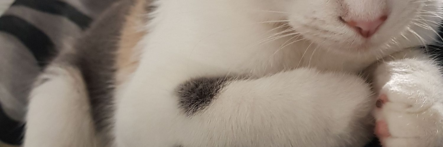 antogautero's profile banner image