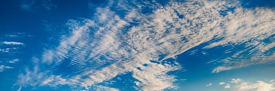 ناصر خاکباز's banner