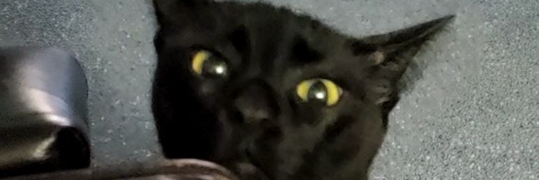 KeysHeather's profile banner image