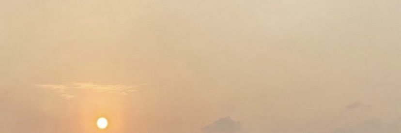 🐝 banner